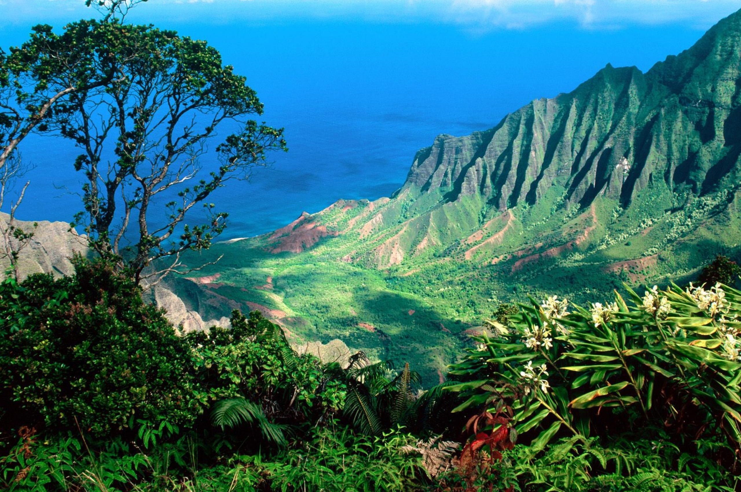 Beautiful Scenery Kauai Kalalau Valley Islands Hawaii United States World