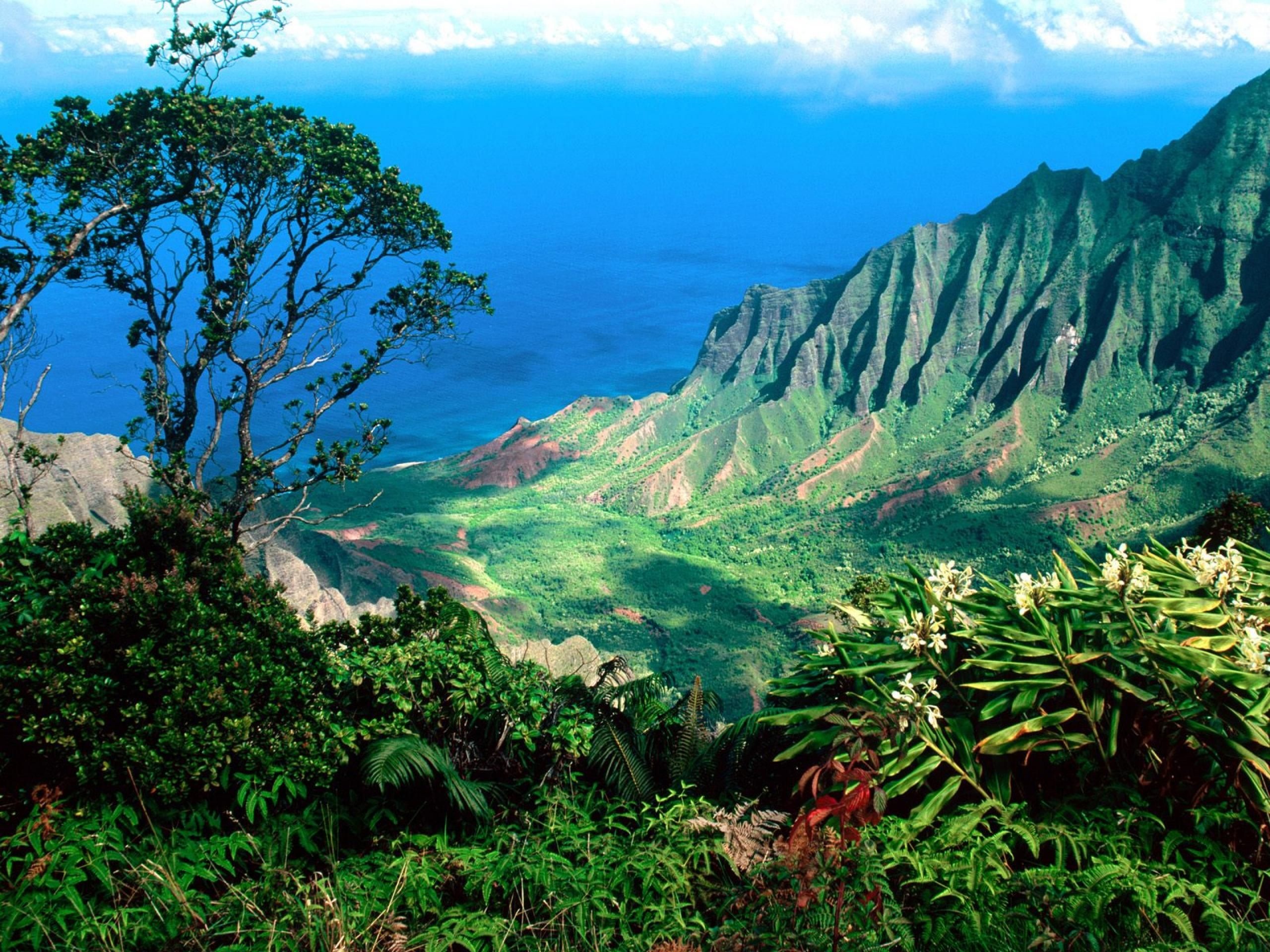 Beautiful Scenery Kauai Kalalau Valley Islands Hawaii United States World