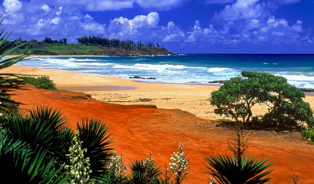 Beautiful Scenery Kealia Resort Beach Kauai Hawaii Archipelago United States World