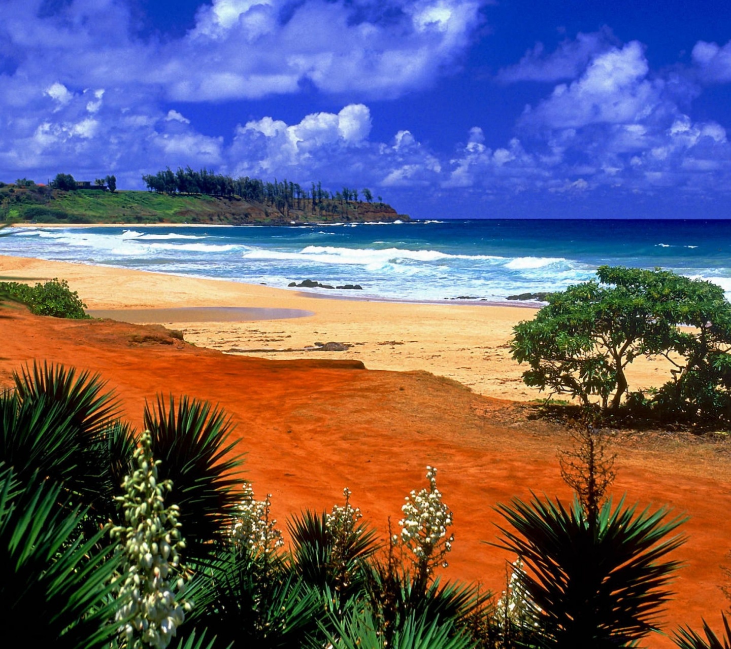 Beautiful Scenery Kealia Resort Beach Kauai Hawaii Archipelago United States World