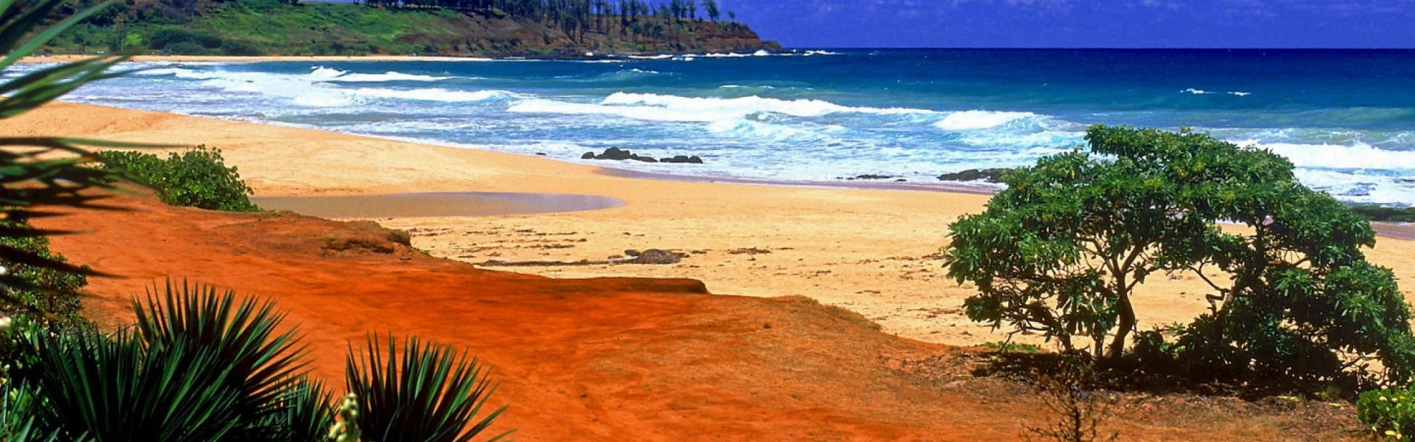 Beautiful Scenery Kealia Resort Beach Kauai Hawaii Archipelago United States World