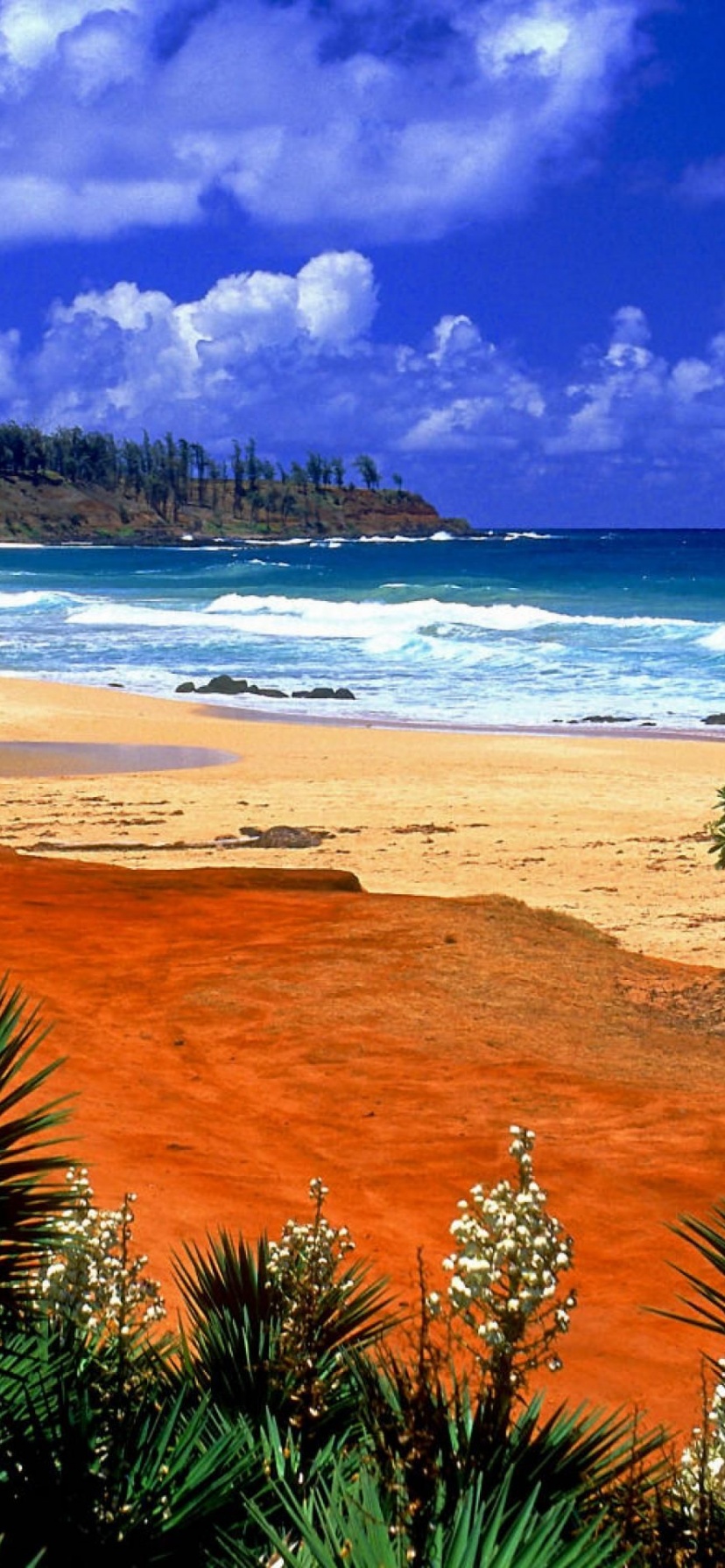 Beautiful Scenery Kealia Resort Beach Kauai Hawaii Archipelago United States World