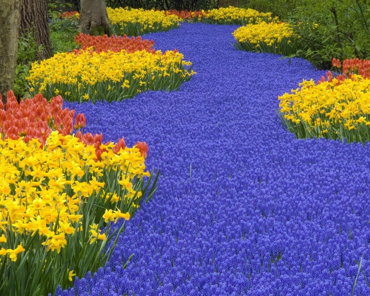 Beautiful Scenery Keukenhof Gardens Lisse Netherlands Flowers World