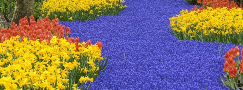 Beautiful Scenery Keukenhof Gardens Lisse Netherlands Flowers World