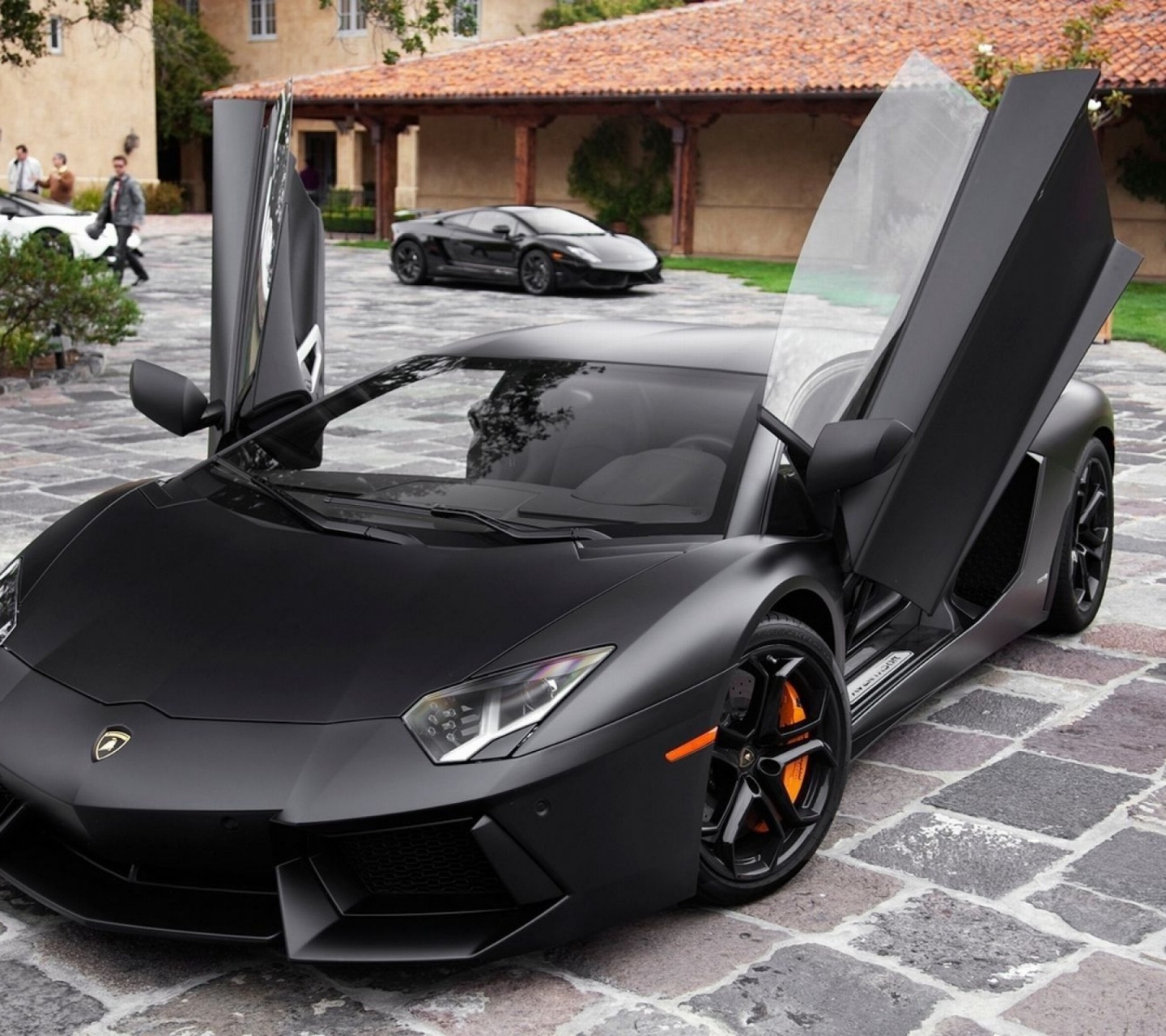 Black Lamborghini Aventador