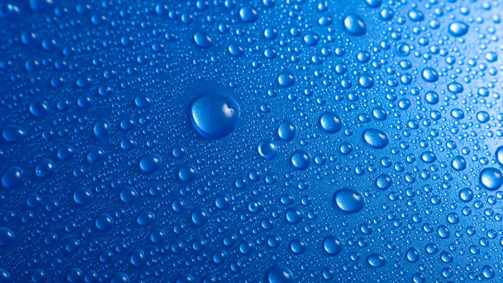 Blue Drop