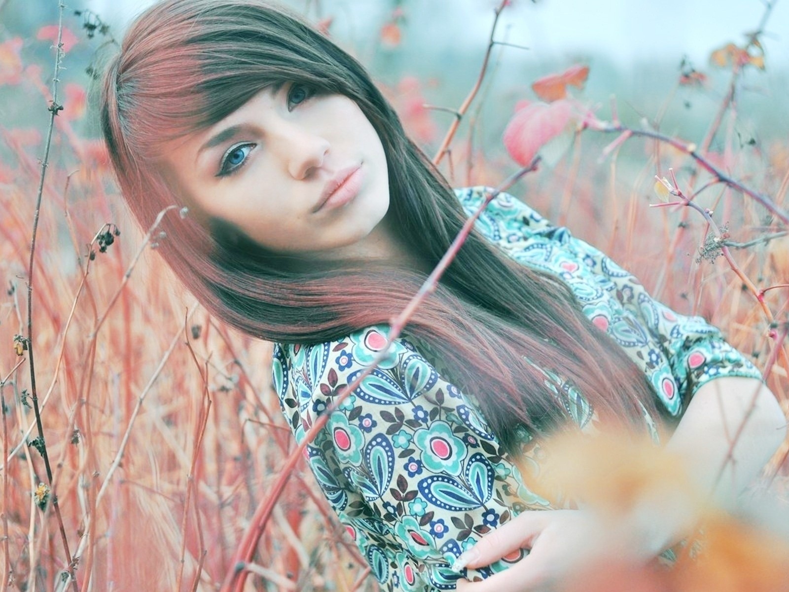 Blue Eyed Brunette Twigs Flowers Field