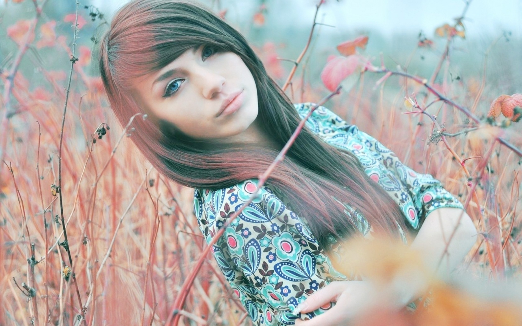 Blue Eyed Brunette Twigs Flowers Field