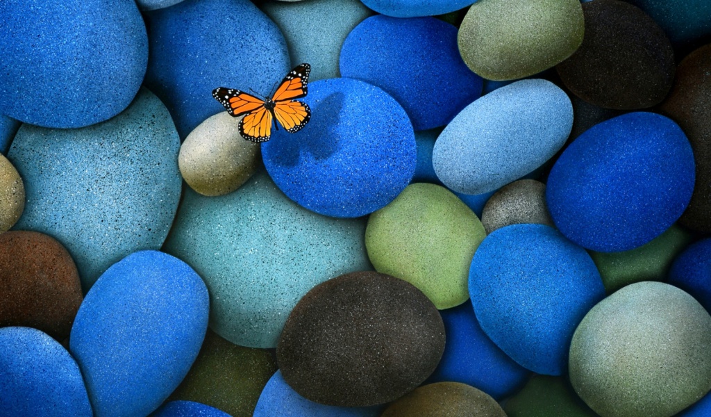 Blue Stones And Butterfly