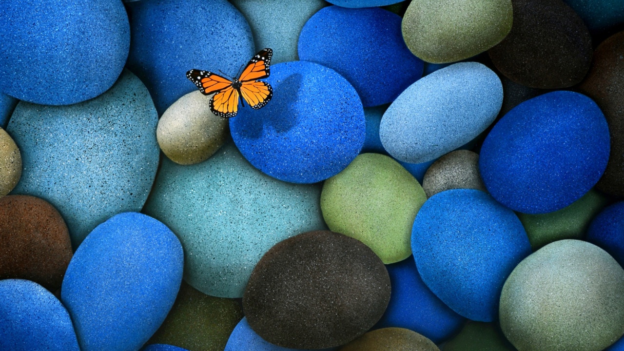 Blue Stones And Butterfly