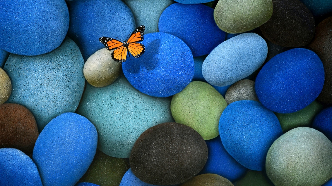 Blue Stones And Butterfly