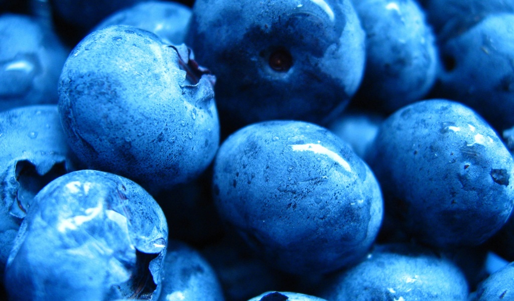 Blueberries