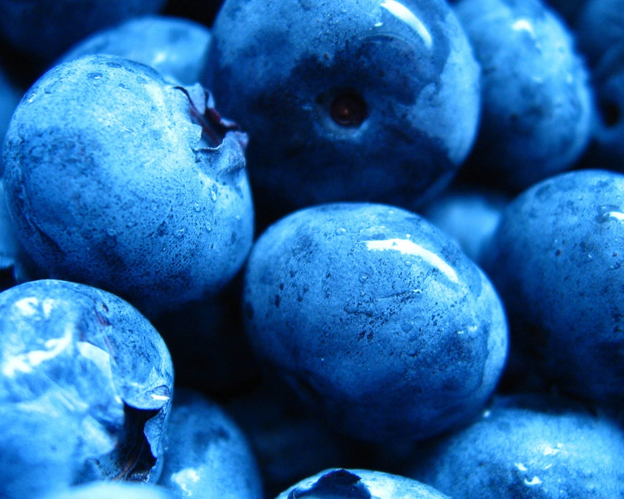 Blueberries