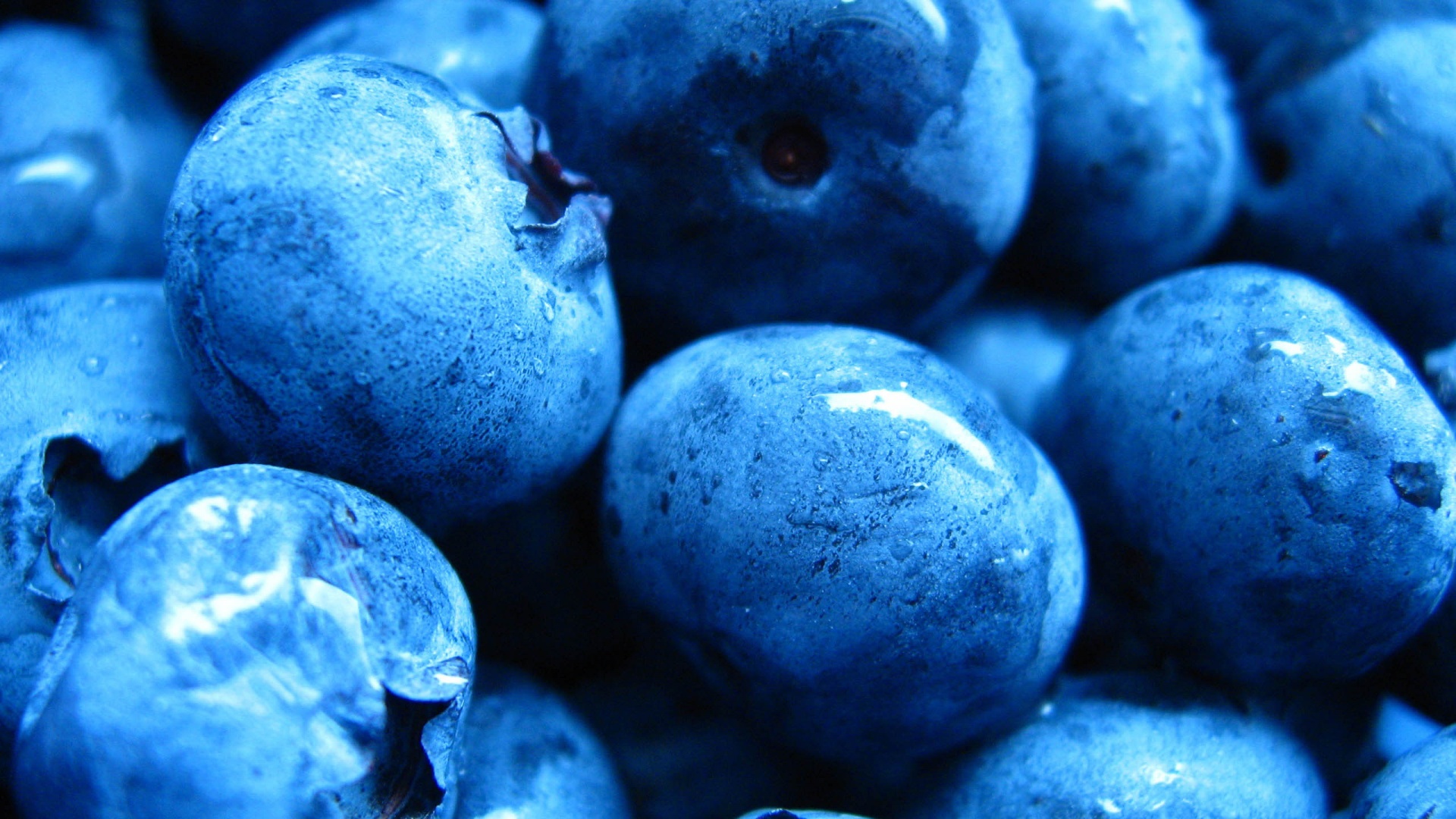 Blueberries