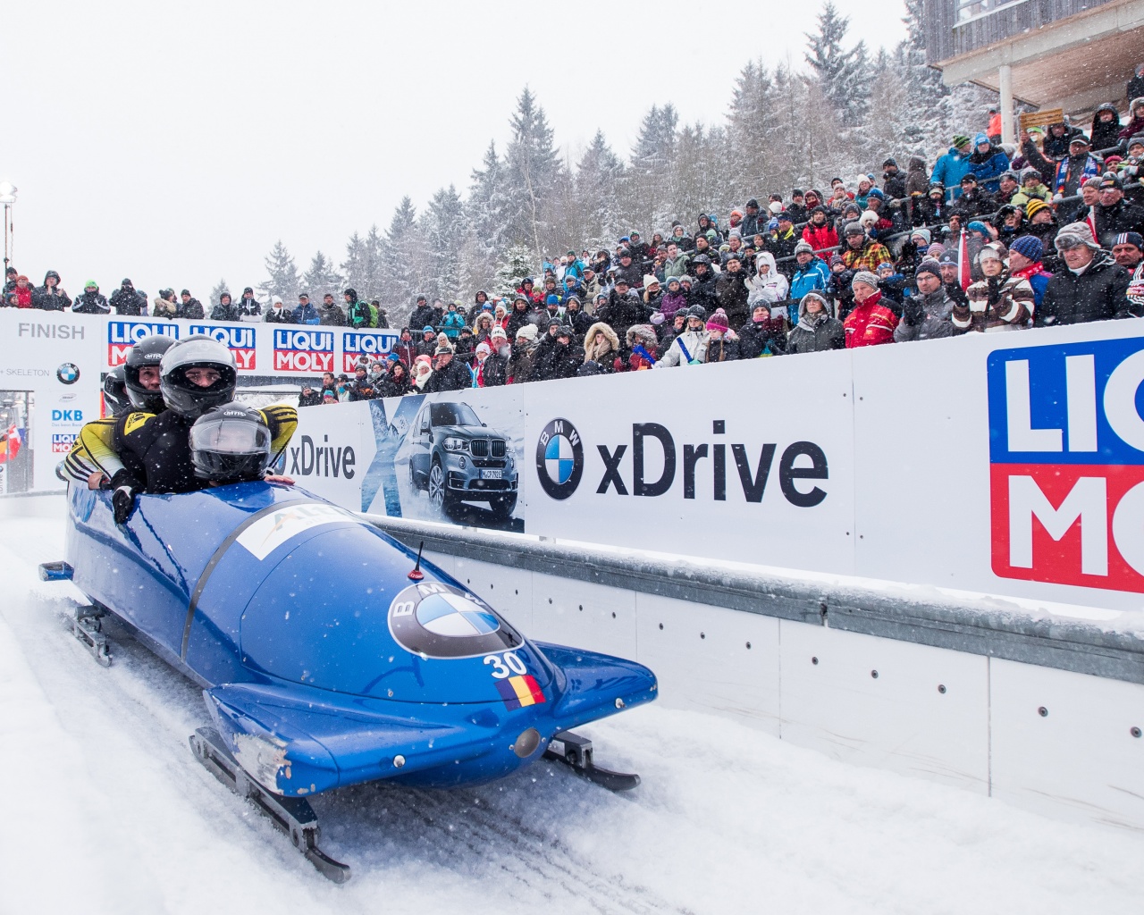 Bobsleigh Winter Sport