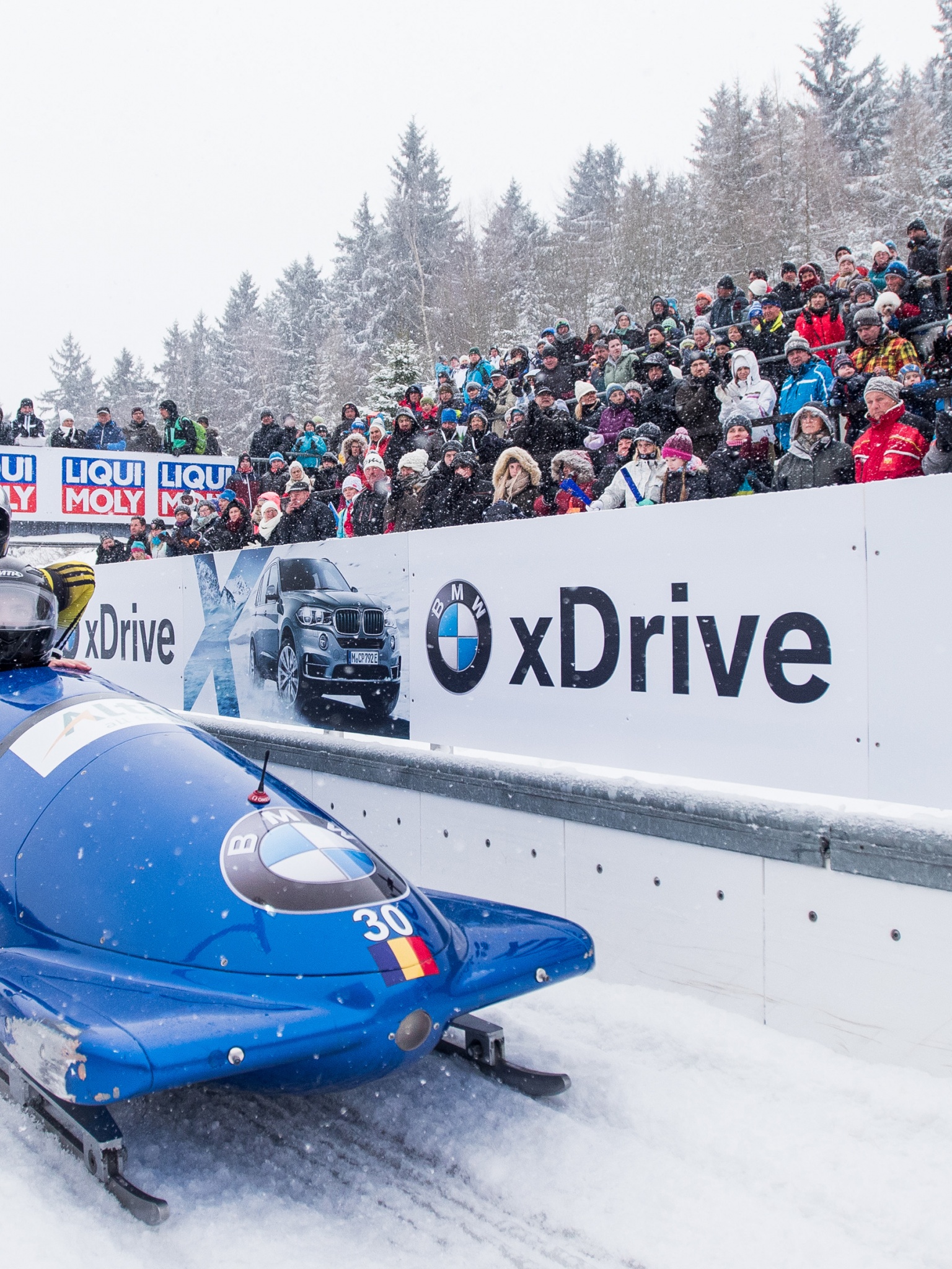 Bobsleigh Winter Sport