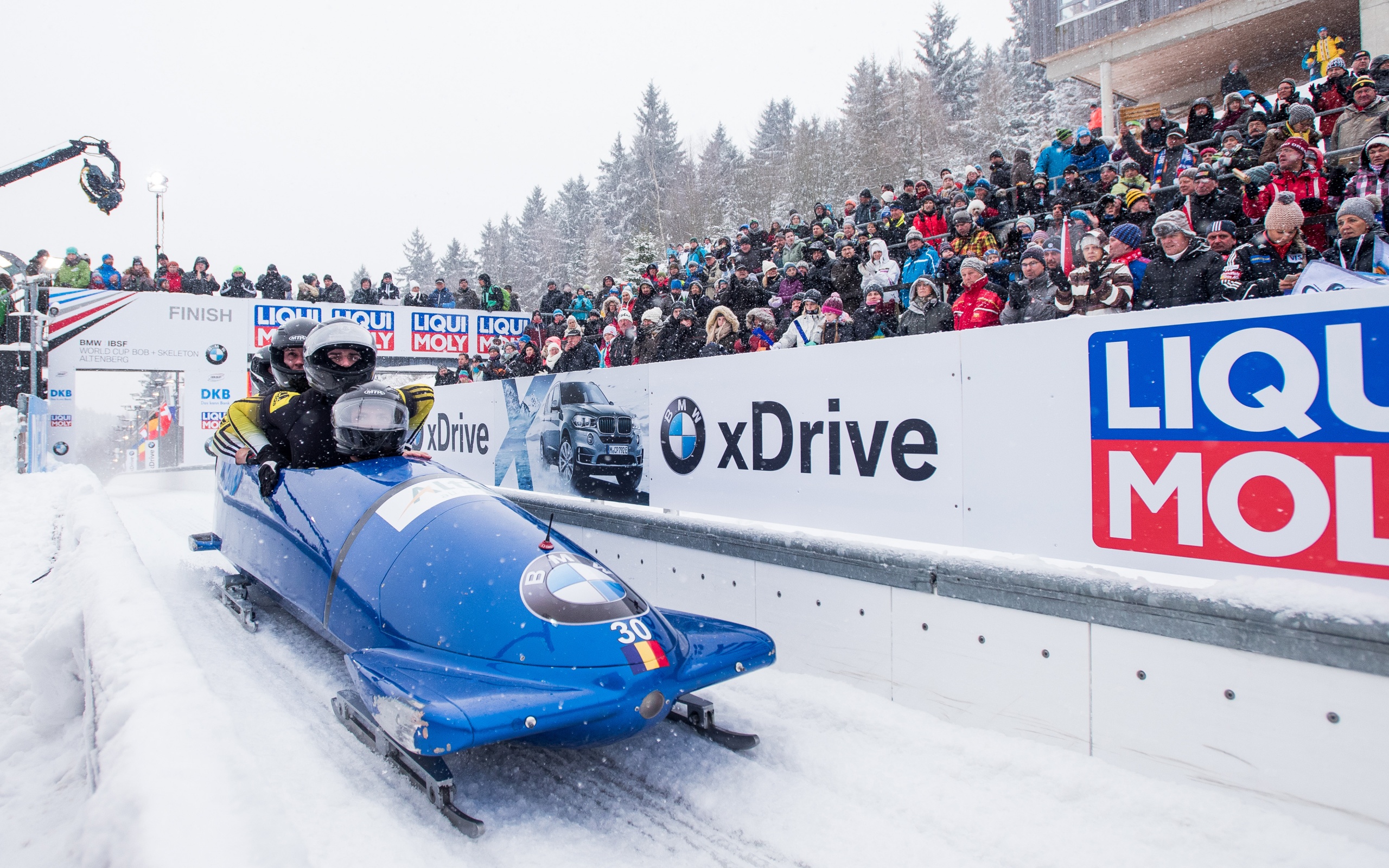 Bobsleigh Winter Sport