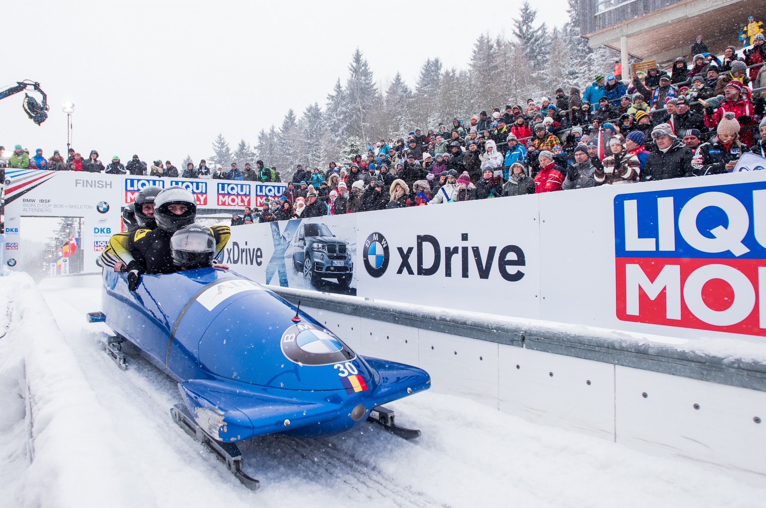 Bobsleigh Winter Sport