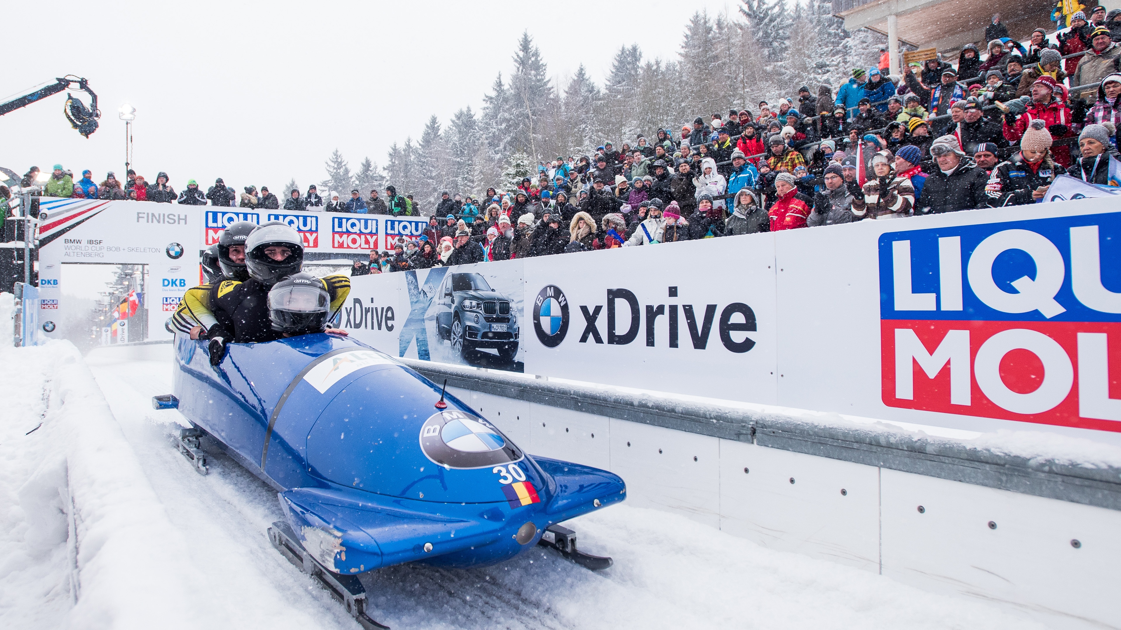 Bobsleigh Winter Sport