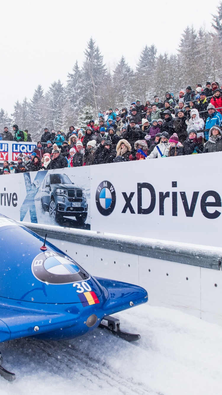 Bobsleigh Winter Sport