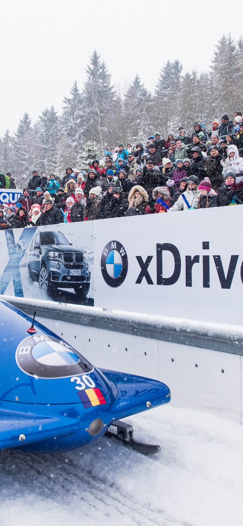 Bobsleigh Winter Sport