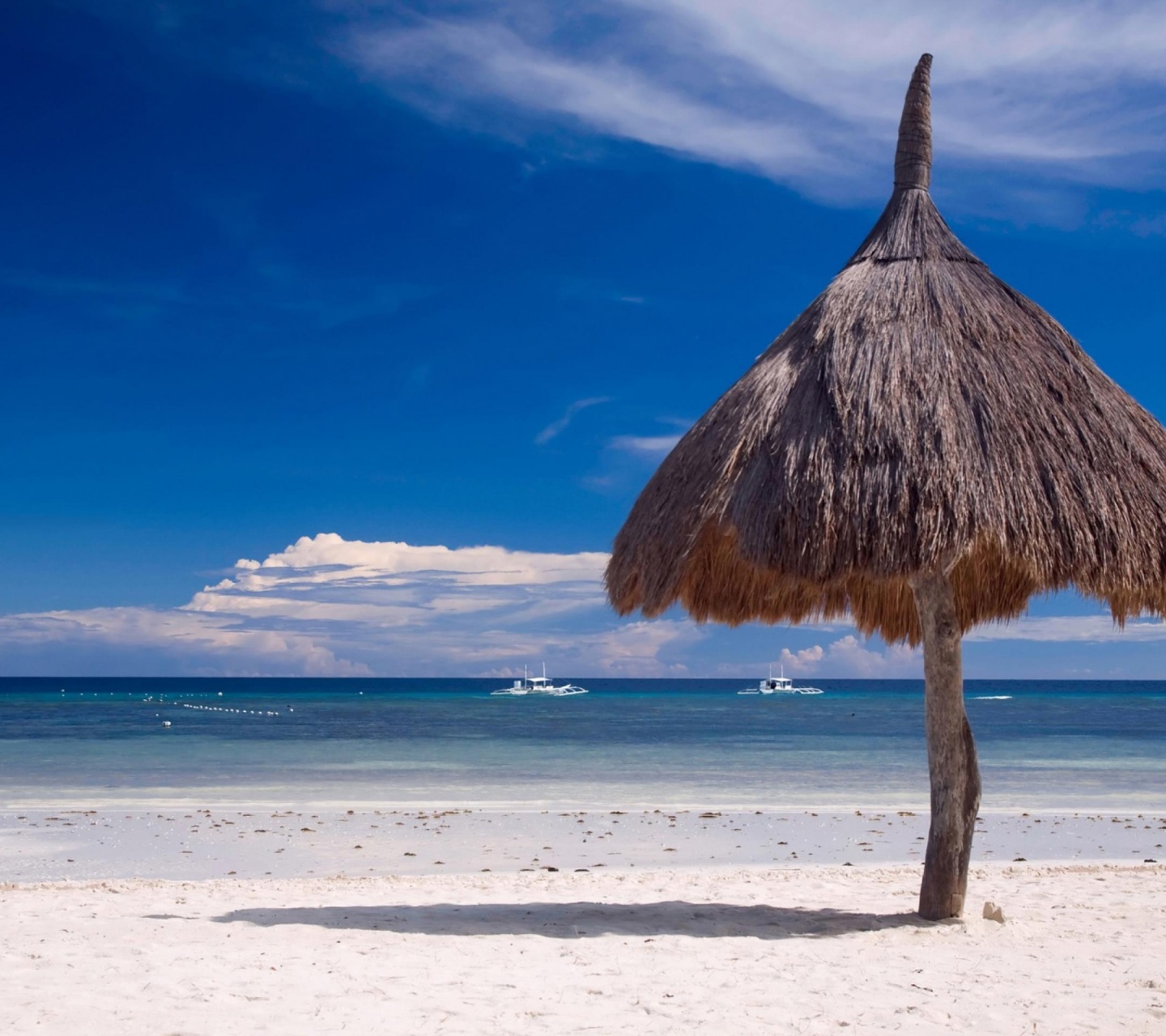 Bohol Beach Nature Landscapes