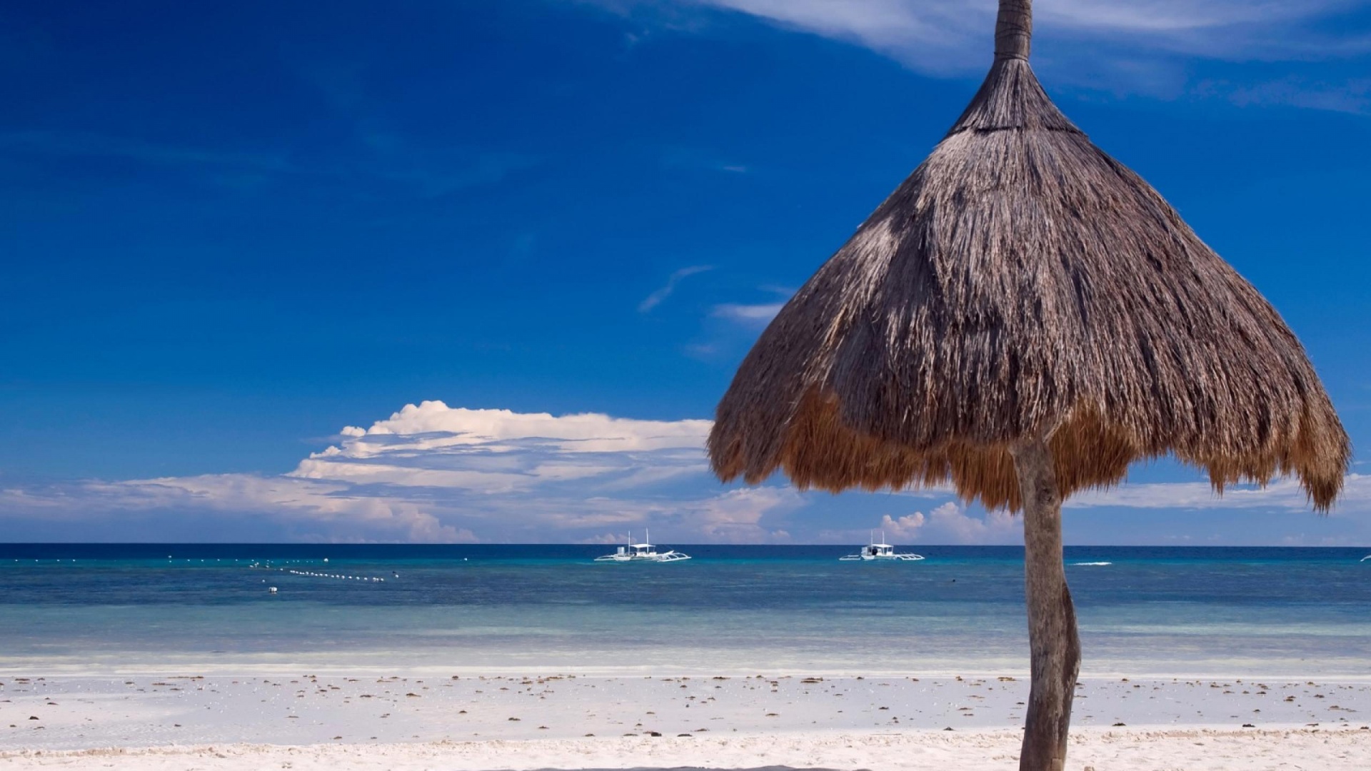 Bohol Beach Nature Landscapes