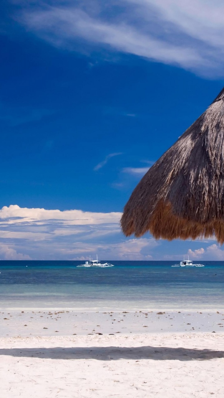 Bohol Beach Nature Landscapes