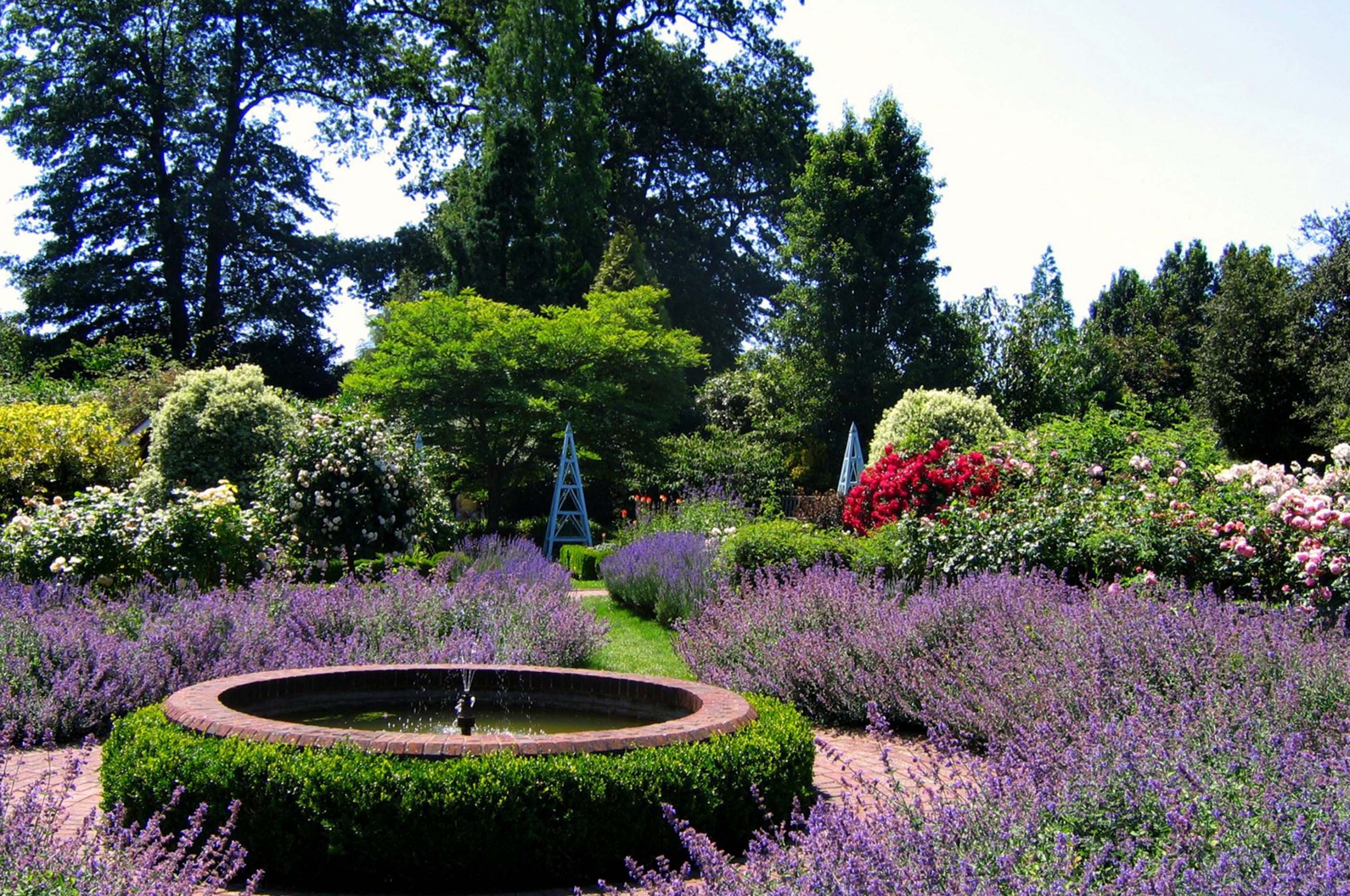 Borde Hill Gardens Sussex