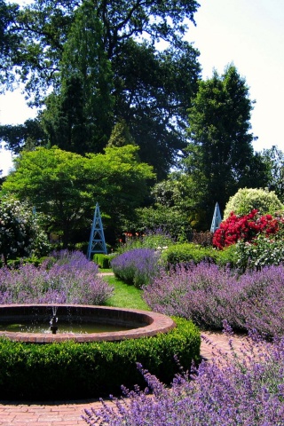 Borde Hill Gardens Sussex