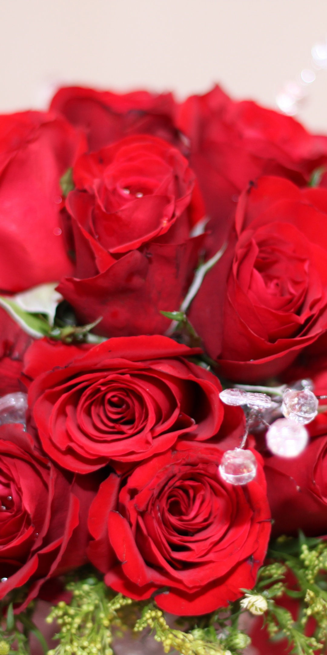 Bouquet Of Red Roses On 8 March