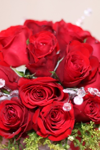 Bouquet Of Red Roses On 8 March