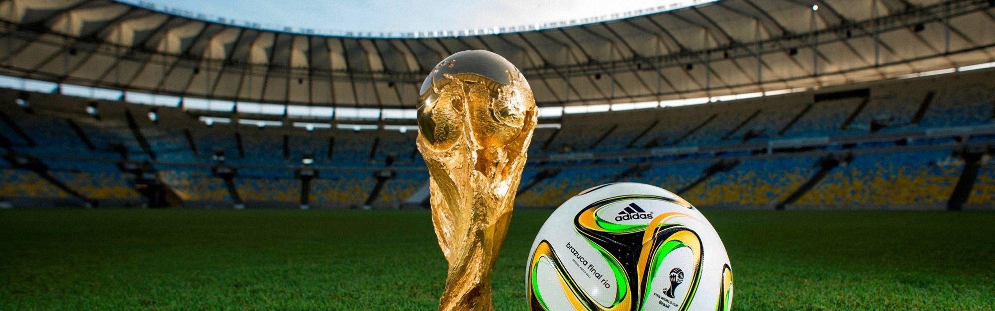 Brazuca 2014 WC Final Match Ball