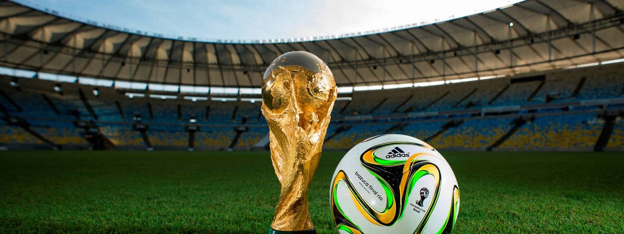 Brazuca 2014 WC Final Match Ball