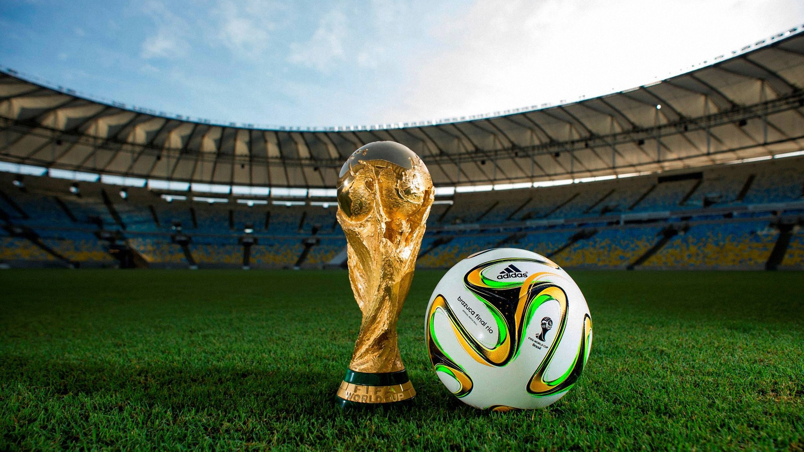 Brazuca 2014 WC Final Match Ball