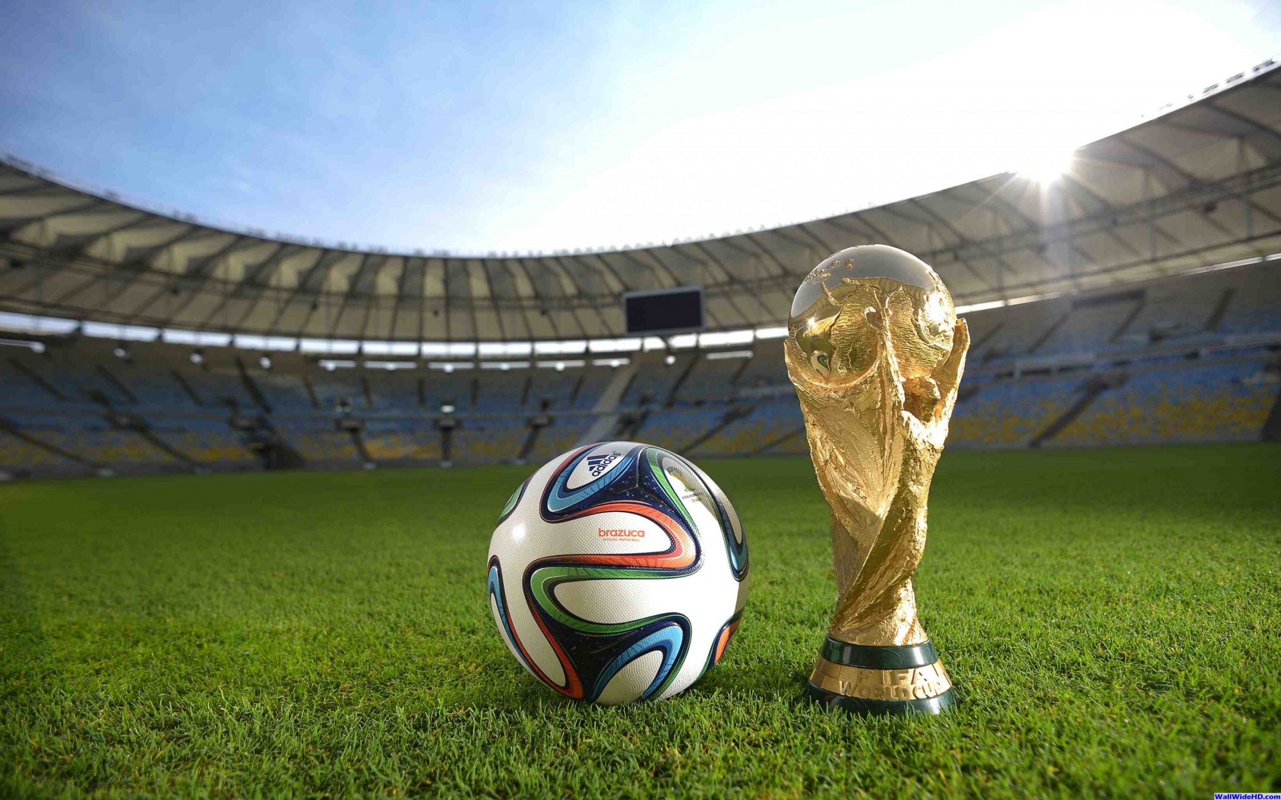 Brazuca Ball World Cup Trophy 2014