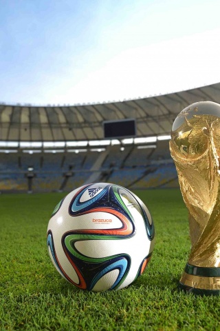 Brazuca Ball World Cup Trophy 2014