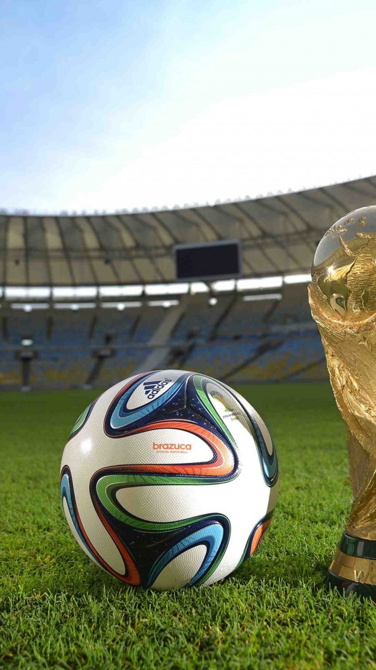 Brazuca Ball World Cup Trophy 2014