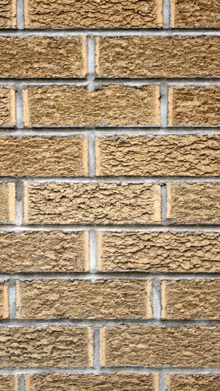 Brick Wall Texture