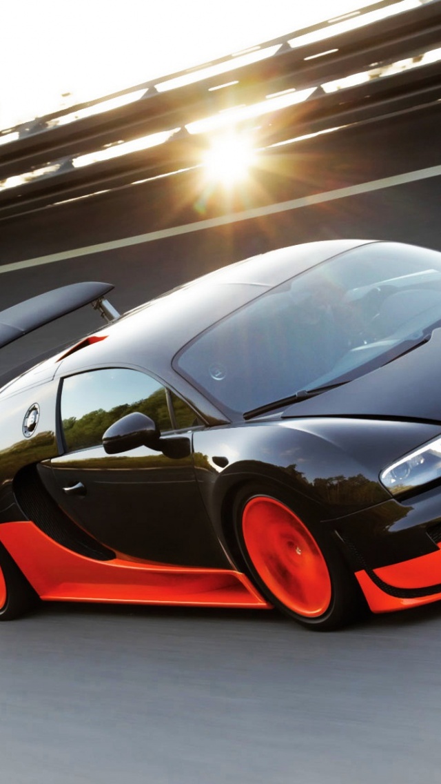 Bugatti Veyron Ss 2010