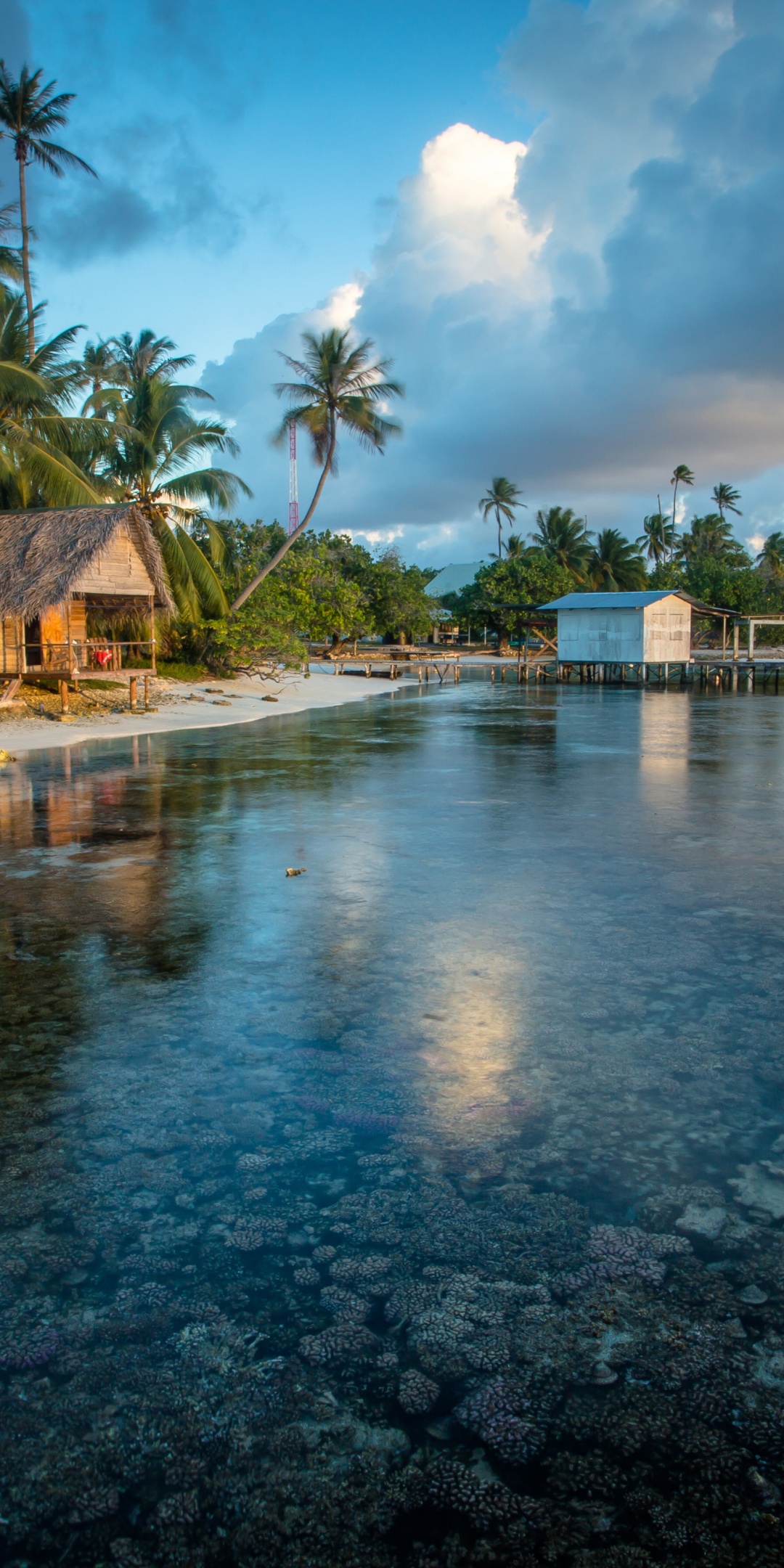 Bungalows In French Polynesia