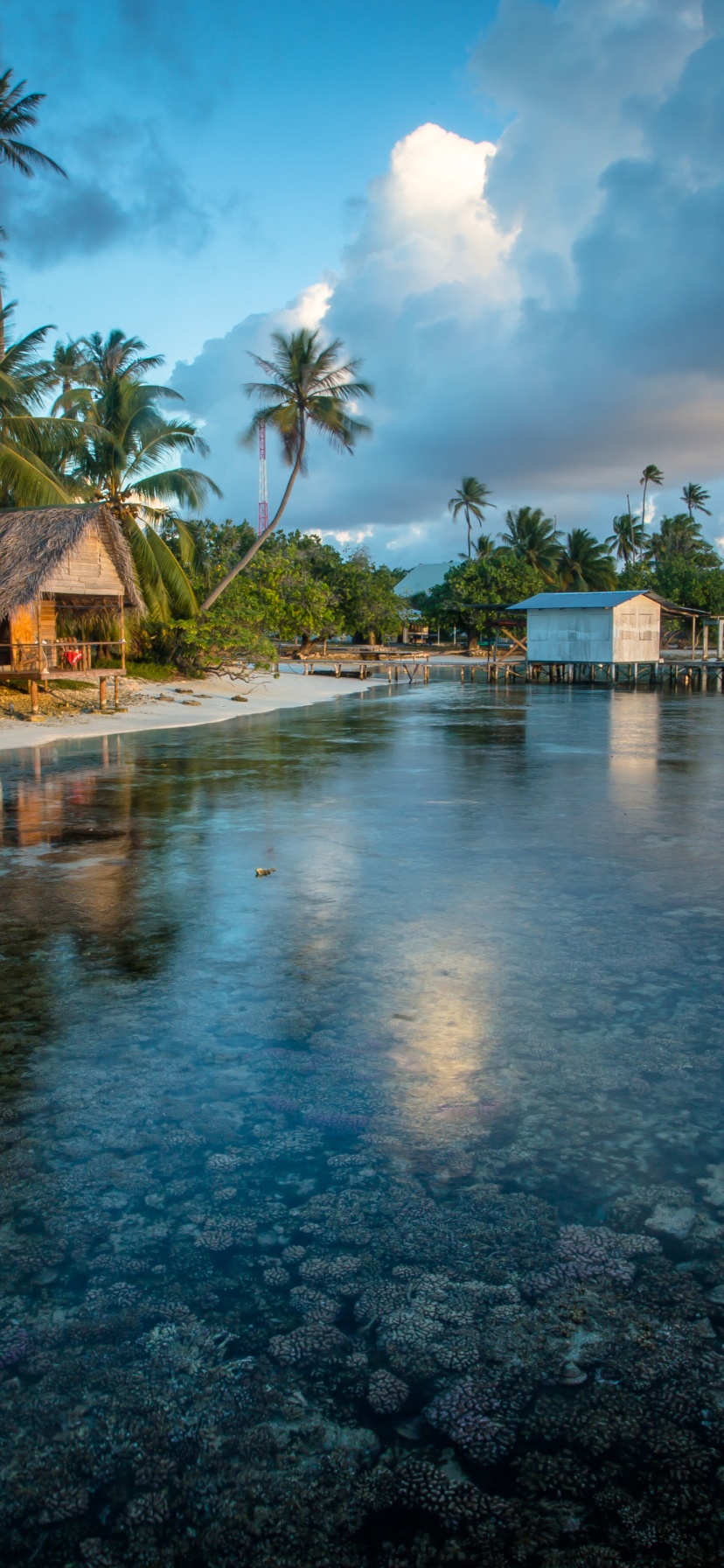 Bungalows In French Polynesia