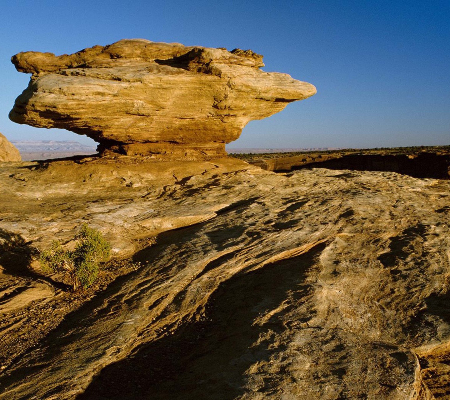 Canyon De Chelly New Mexico