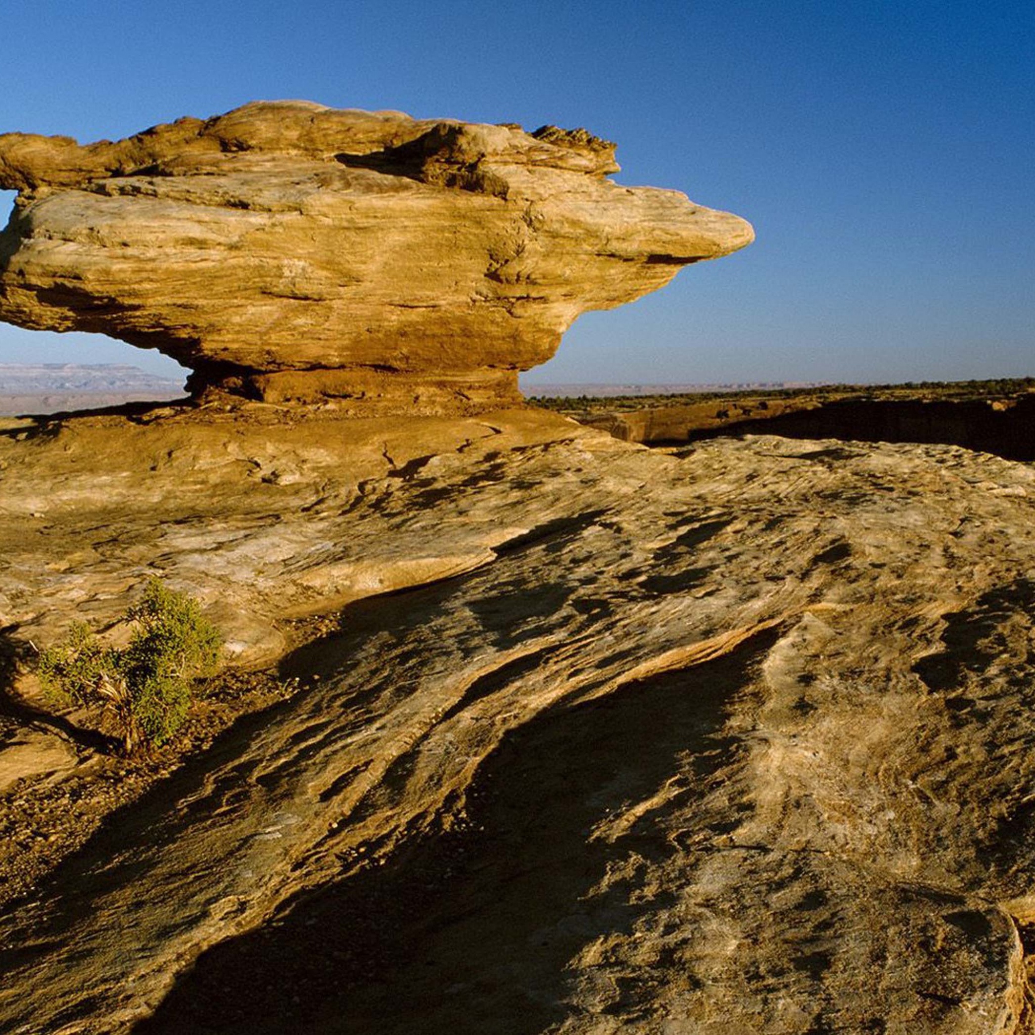 Canyon De Chelly New Mexico