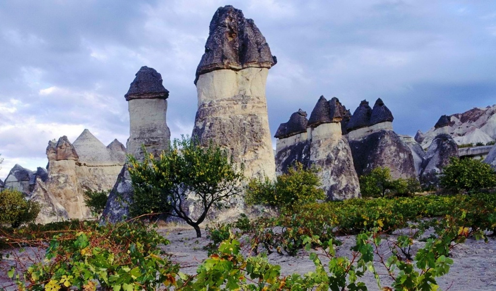 Cappadocia Chimneys Turkey