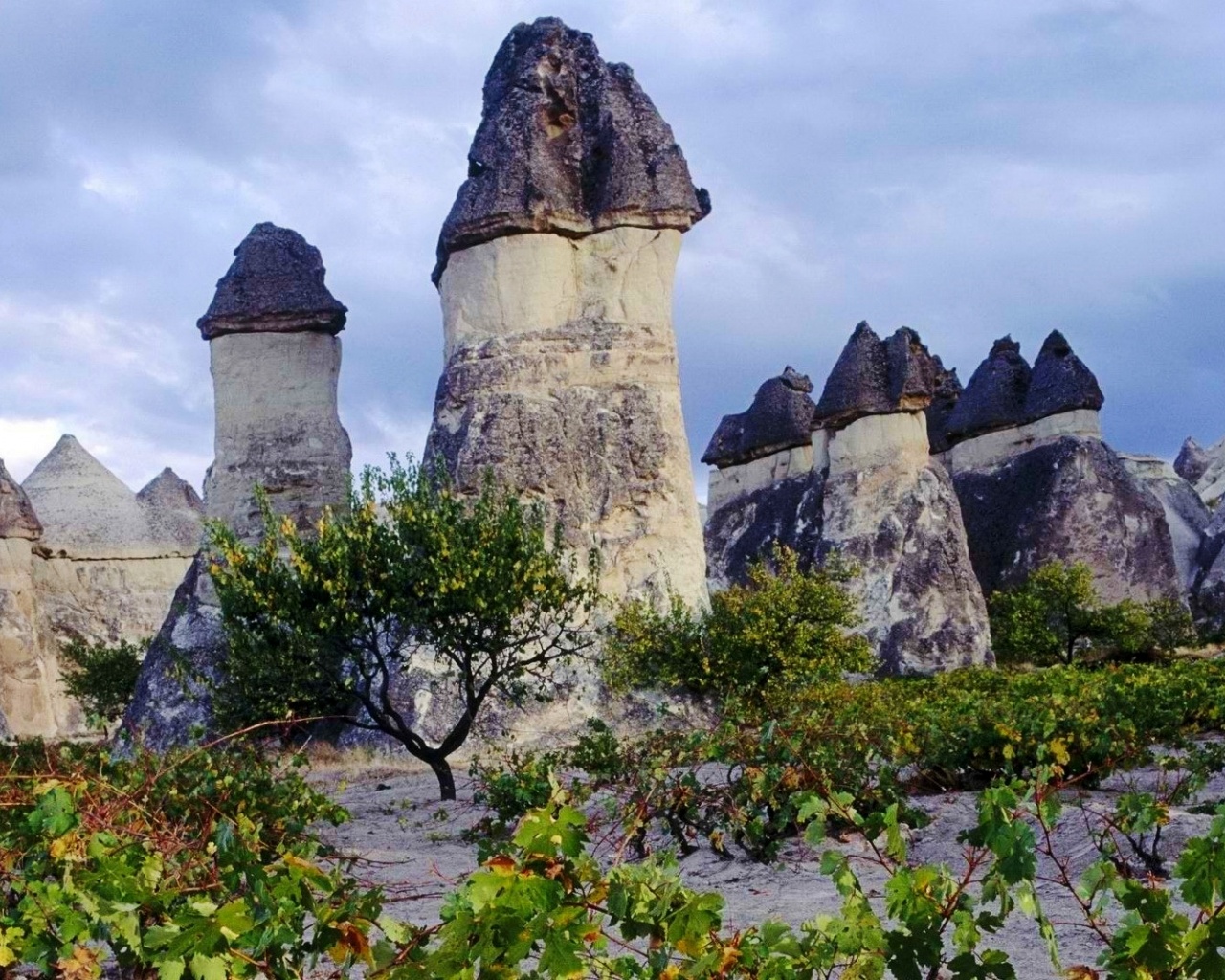 Cappadocia Chimneys Turkey