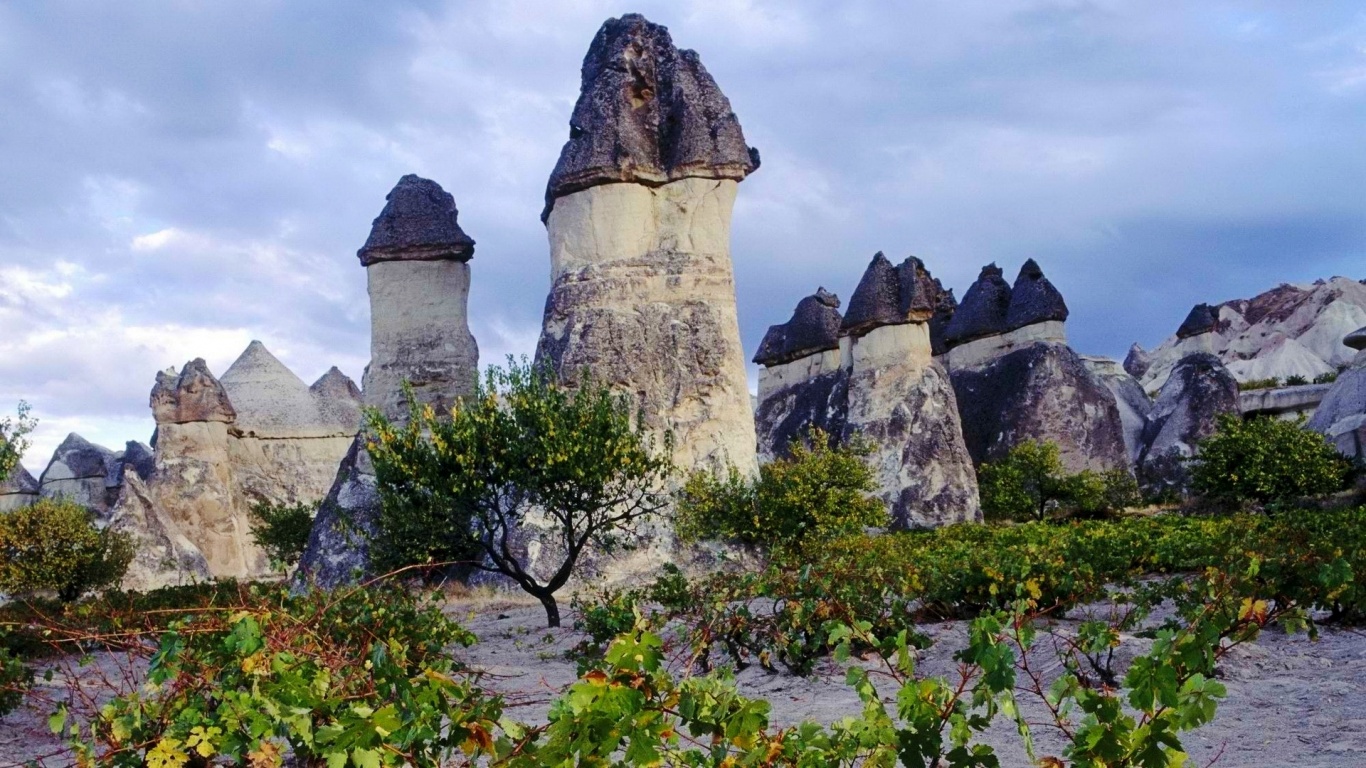 Cappadocia Chimneys Turkey