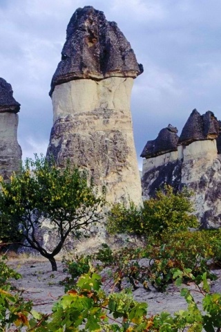 Cappadocia Chimneys Turkey