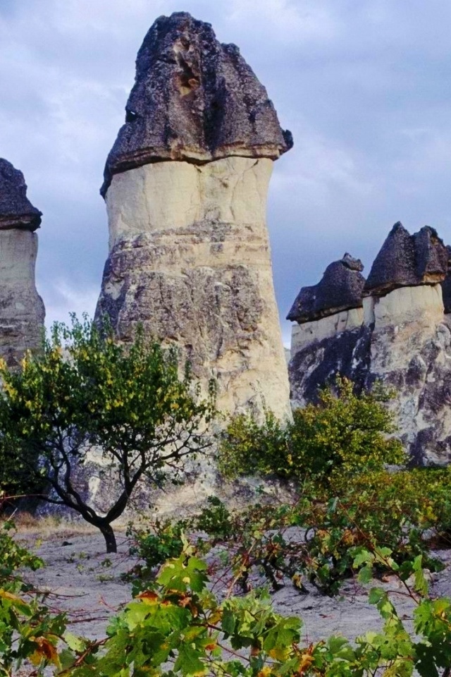 Cappadocia Chimneys Turkey