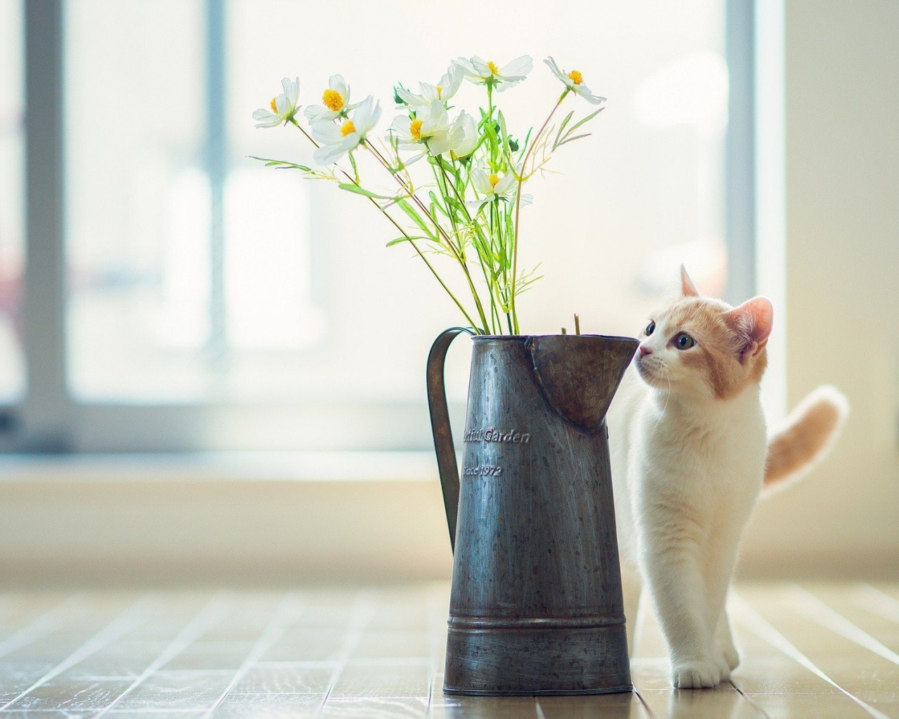 Cat Kitten Vase Flowers